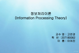 정보처리 이론의 발달