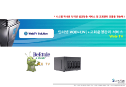 201302191400-STK(webTV_제안서_01)