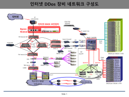 인터넷 DDos 장비 네트워크 구성도