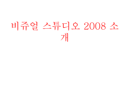 02 비쥬얼 스튜이오 2008 소개