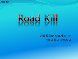 Roadkill 완성작