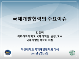 김은미교수-부산대_국제개발협력의주요이슈(422.8Kbyte)