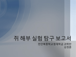 천안북중학교영재학급 과학반 김정훈 쥐 해부 실험 탐구 보고서 학습