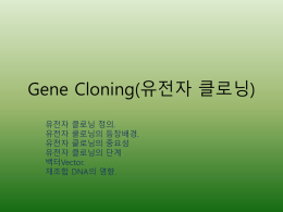Gene Cloning(유전자 클로닝) (198Kbyte)