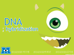 DNA hybridization PPT (491Kbyte)
