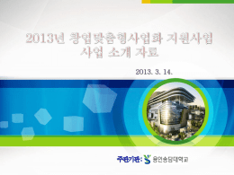 2013년_창업맞춤형사업화_지원사업_사업_소개