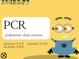 PCR 20141023 (1Mbyte)