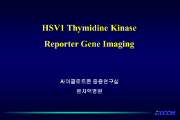 KCCH HSV1 Thymidine Kinase Reporter Gene Imaging