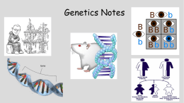 Genetics/Inheritance Notes