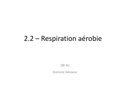 2.2-la respiration cellulaire arobie