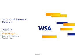 Visa Commercial Payments Overview
