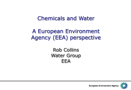 10, 02FEB2010, R Collins, European Environment Agency.ppt