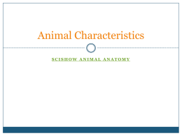 animal traits