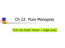 22 Pure Monopoly.ppt