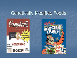 Genetically Modified Organisms.ppt