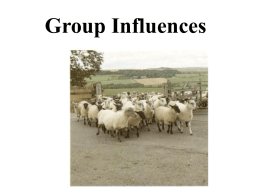 group influences.ppt