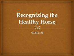 lecture8recognizingthehealthyhorse 1