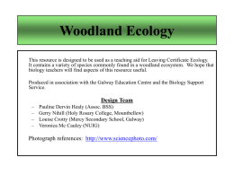 Woodland Flora and Fauna PPT