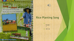 Cha yang wu (Rice Planting Song)