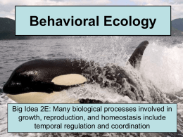 Behavior Timing and Coordination.ppt