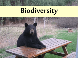 Biodiversity and Ext Intro 1.PPT