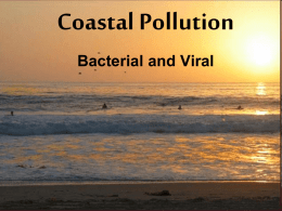 Coastal Pollution PP.ppt