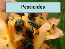 pesticides.ppt