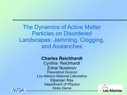 The Dynamics of Active Matter Particles on Disordered Landscapes: Jamming, Clogging, and Avalanches (Harvard, 2015)