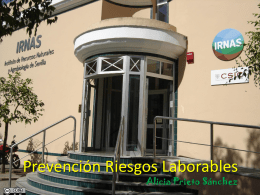 Prevención Riesgos Laborables IRNAS.pptx