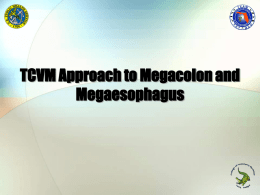 Megaesophagus_Megacolon.ppt