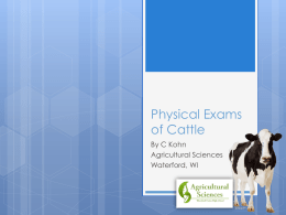 Physical Exams of Cattle.pptx