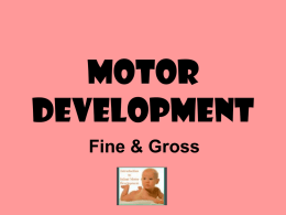 Gross and Fine Motor Development Infant.ppt