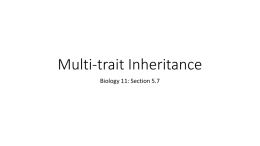Unit 2 - 5.7 Multi-trait Inheritance.pptx