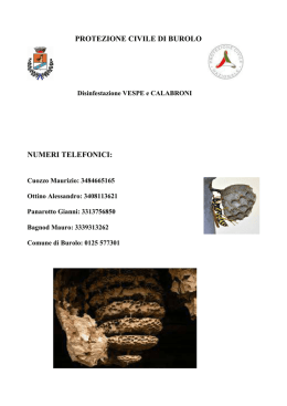 Vespe e calabroni 2016
