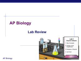 AP Lab Practice