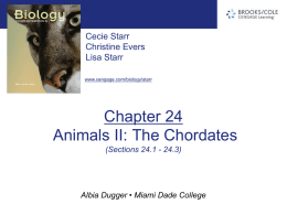 chapter24_Sections 1-3.ppt