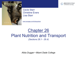 chapter26_Sections 1-4.ppt