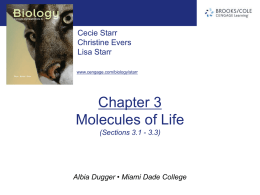 chapter3_Sections 1-3.ppt