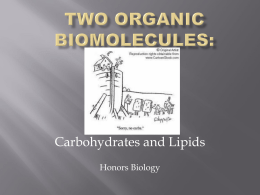 carbohydrates and lipids-2 09