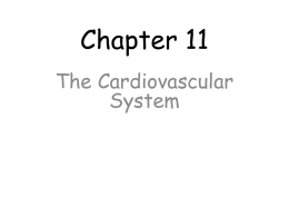 Survey of A P/Chapter 11 Cardiovascular.ppt