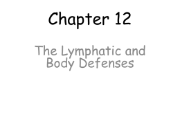 Survey of A P/Chapter 12 Lymphatic powerpoint.ppt