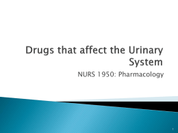 Unit 12 Urinary drugs.PPT