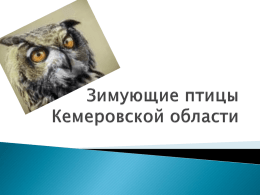презентации “Зимующие птицы Кемеровской области”