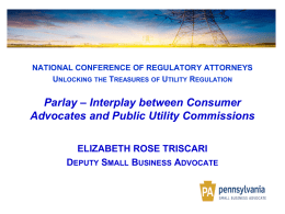 Interplay between Consumer Advocates and Public Utility Commissions (Triscari)