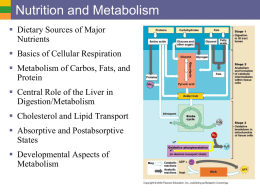 8a Nutrition and Metabolism