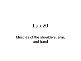 Lab 20