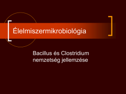 Spórás baktériumok: Bacillus, Clostridium.ppt