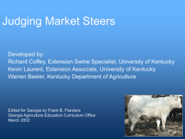 Market Steers