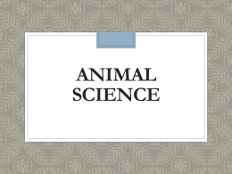 Intro to Animal Science