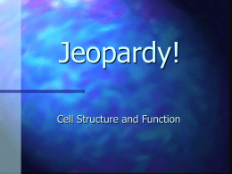 Cell Jeopardy PPT